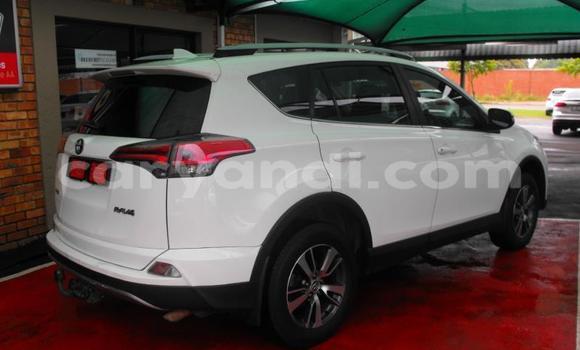 Tenga Tsaru Toyota RAV4 Chena Mota in Chilanga in Lusaka Tenga Tsaru Toyota RAV4 Chena Mota in Chilanga in Lusaka