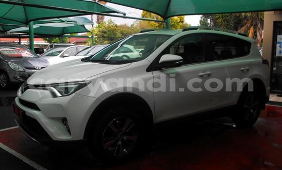 Tenga Tsaru Toyota RAV4 Chena Mota in Chilanga in Lusaka Tenga Tsaru Toyota RAV4 Chena Mota in Chilanga in Lusaka