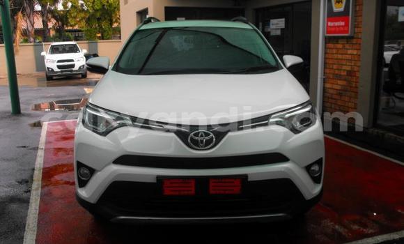 Tenga Tsaru Toyota RAV4 Chena Mota in Chilanga in Lusaka Tenga Tsaru Toyota RAV4 Chena Mota in Chilanga in Lusaka