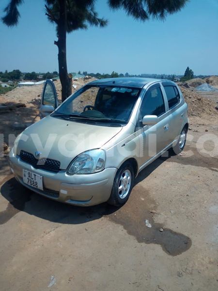 Big with watermark 42393307 881460898910097 4401121866601725952 n