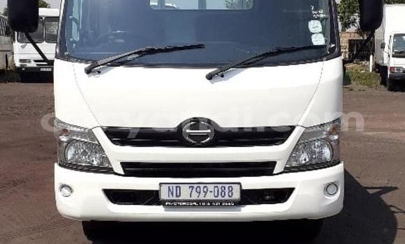 Buy Used Hino 300 Series White Truck in Chililabombwe in Copperbelt