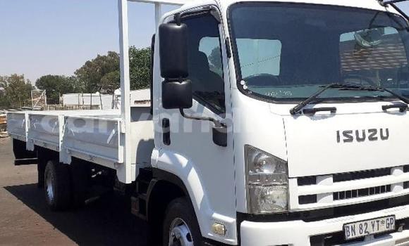 Tenga Tsaru Isuzu FTR 850 Chena Rori in Chingola in Zambia Tenga Tsaru Isuzu FTR 850 Chena Rori in Chingola in Zambia