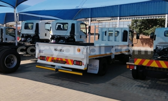 Acheter Occasion Utilitaire Isuzu FTR 850 Blanc à Isoka, Nord Acheter Occasion Utilitaire Isuzu FTR 850 Blanc à Isoka, Nord
