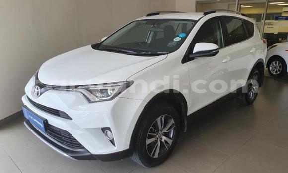 Buy Used Toyota RAV4 White Car in Chilanga in Lusaka Buy Used Toyota RAV4 White Car in Chilanga in Lusaka