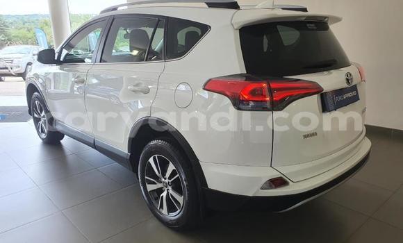 Buy Used Toyota RAV4 White Car in Chilanga in Lusaka Buy Used Toyota RAV4 White Car in Chilanga in Lusaka