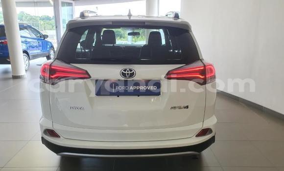 Buy Used Toyota RAV4 White Car in Chilanga in Lusaka Buy Used Toyota RAV4 White Car in Chilanga in Lusaka