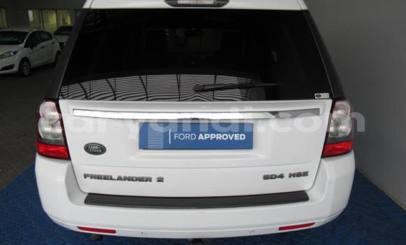 Buy Used Land Rover Freelander White Car in Isoka in Northern Buy Used Land Rover Freelander White Car in Isoka in Northern