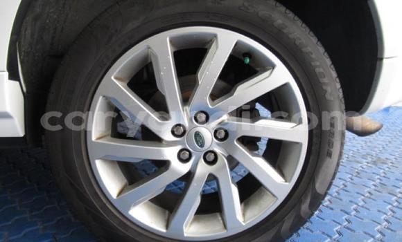 Acheter Occasion Voiture Land Rover Freelander Blanc à Isoka, Nord Acheter Occasion Voiture Land Rover Freelander Blanc à Isoka, Nord