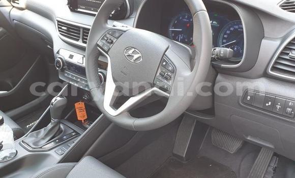 Tenga Tsaru Hyundai Tucson Chena Mota in Choma in Southern Tenga Tsaru Hyundai Tucson Chena Mota in Choma in Southern