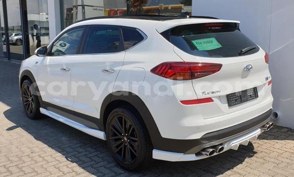 Tenga Tsaru Hyundai Tucson Chena Mota in Choma in Southern Tenga Tsaru Hyundai Tucson Chena Mota in Choma in Southern