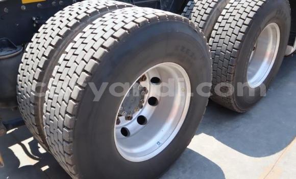 Tenga Tsaru Man TGX Chena Rori in Mongu in Western Tenga Tsaru Man TGX Chena Rori in Mongu in Western