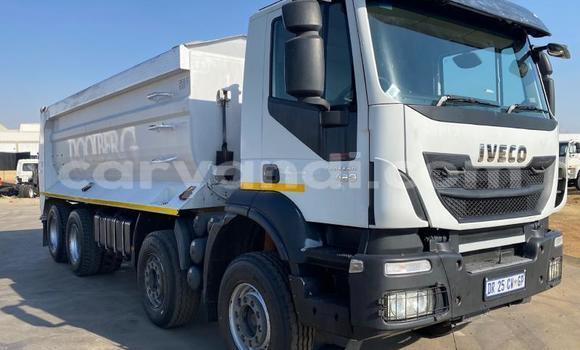 Buy Used Iveco Cargo White Truck in Mongu in Western