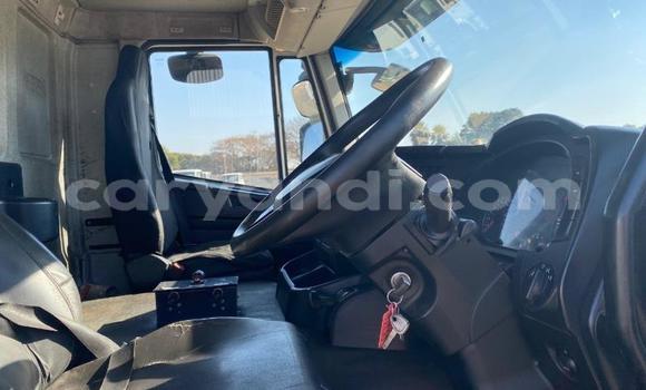 Nunua Ilio tumika Iveco Cargo Nyeupe Lori ndani ya Mongu nchini Magharibi Nunua Ilio tumika Iveco Cargo Nyeupe Lori ndani ya Mongu nchini Magharibi