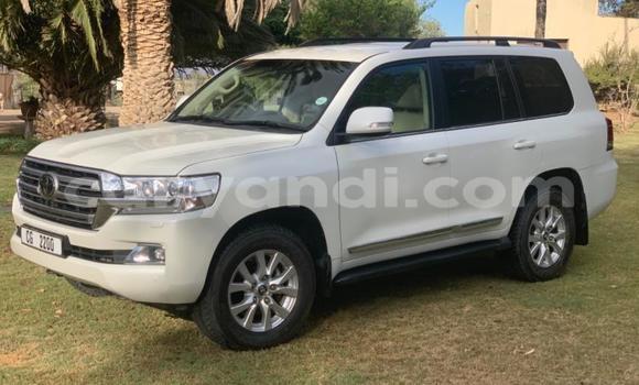 Buy Used Toyota Land Cruiser White Car in Mazabuka in Southern Buy Used Toyota Land Cruiser White Car in Mazabuka in Southern