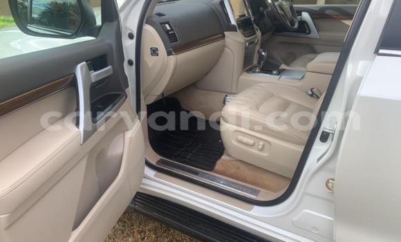 Buy Used Toyota Land Cruiser White Car in Mazabuka in Southern Buy Used Toyota Land Cruiser White Car in Mazabuka in Southern
