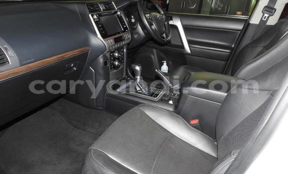 Buy Used Toyota Land Cruiser Prado White Car in Mazabuka in Southern Buy Used Toyota Land Cruiser Prado White Car in Mazabuka in Southern
