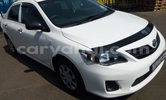 Buy Used Toyota Corolla White Car in Katete in Eastern Buy Used Toyota Corolla White Car in Katete in Eastern