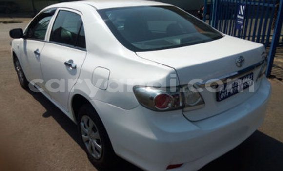 Buy Used Toyota Corolla White Car in Katete in Eastern Buy Used Toyota Corolla White Car in Katete in Eastern