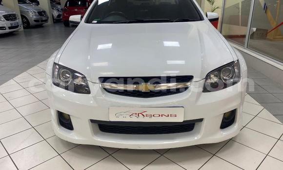 Buy Used Chevrolet Lumina White Car in Chilanga in Lusaka Buy Used Chevrolet Lumina White Car in Chilanga in Lusaka