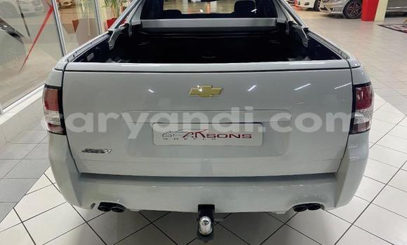 Buy Used Chevrolet Lumina White Car in Chilanga in Lusaka Buy Used Chevrolet Lumina White Car in Chilanga in Lusaka