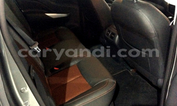 Buy Used Nissan Navara Other Car in Chililabombwe in Copperbelt Buy Used Nissan Navara Other Car in Chililabombwe in Copperbelt