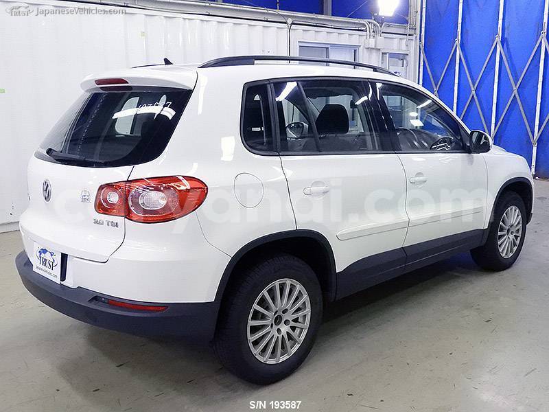 Big with watermark 3