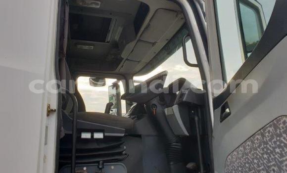 Nunua Ilio tumika Mercedes–Benz 2644 Nyeupe Lori ndani ya Chilanga nchini Lusaka Nunua Ilio tumika Mercedes–Benz 2644 Nyeupe Lori ndani ya Chilanga nchini Lusaka