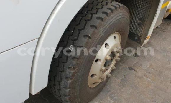 Acheter Occasion Utilitaire Scania R420 Blanc à Chingola, Zambie Acheter Occasion Utilitaire Scania R420 Blanc à Chingola, Zambie