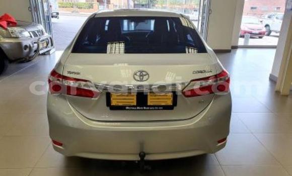 Acheter Occasion Voiture Toyota Corolla Gris à Kitwe, Zambie Acheter Occasion Voiture Toyota Corolla Gris à Kitwe, Zambie