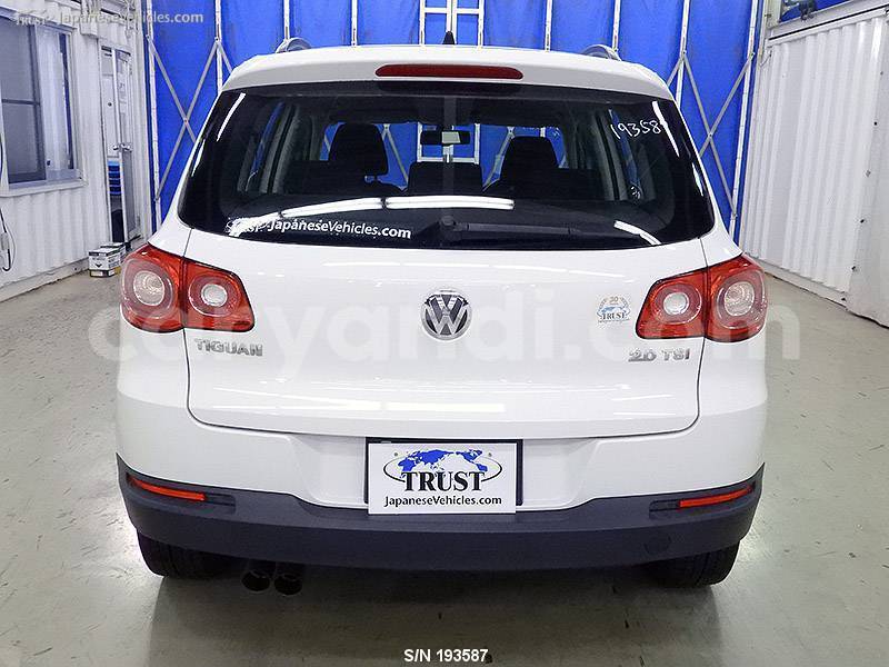 Big with watermark 25