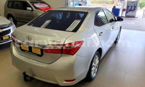 Acheter Occasion Voiture Toyota Corolla Gris à Kitwe, Zambie Acheter Occasion Voiture Toyota Corolla Gris à Kitwe, Zambie