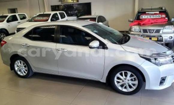 Acheter Occasion Voiture Toyota Corolla Gris à Kitwe, Zambie Acheter Occasion Voiture Toyota Corolla Gris à Kitwe, Zambie