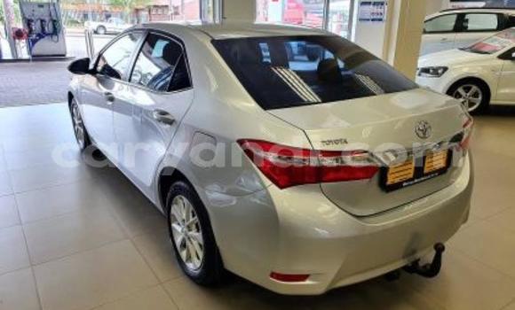 Acheter Occasion Voiture Toyota Corolla Gris à Kitwe, Zambie Acheter Occasion Voiture Toyota Corolla Gris à Kitwe, Zambie