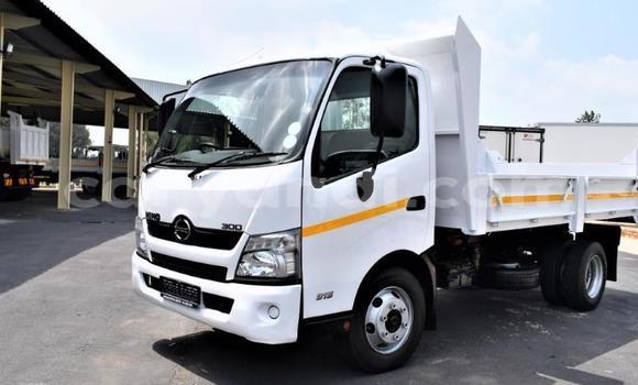 Buy Used Hino 300 Series White Truck in Chingola in Zambia