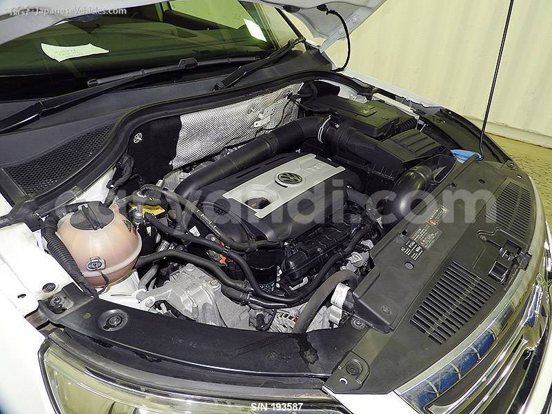 Big with watermark 26