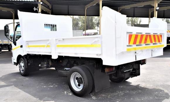 Buy Used Hino 300 Series White Truck in Chingola in Zambia Buy Used Hino 300 Series White Truck in Chingola in Zambia