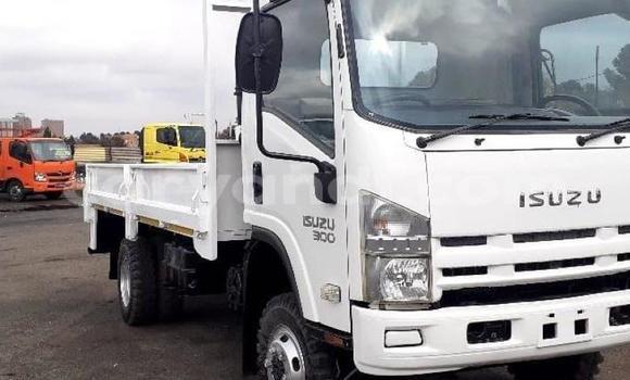 Buy Used Isuzu FTR 850 White Truck in Chambishi in Copperbelt