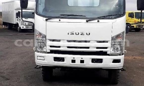 Acheter Occasion Utilitaire Isuzu FTR 850 Blanc à Chambishi, Copperbelt Acheter Occasion Utilitaire Isuzu FTR 850 Blanc à Chambishi, Copperbelt