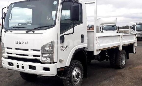 Acheter Occasion Utilitaire Isuzu FTR 850 Blanc à Chambishi, Copperbelt Acheter Occasion Utilitaire Isuzu FTR 850 Blanc à Chambishi, Copperbelt