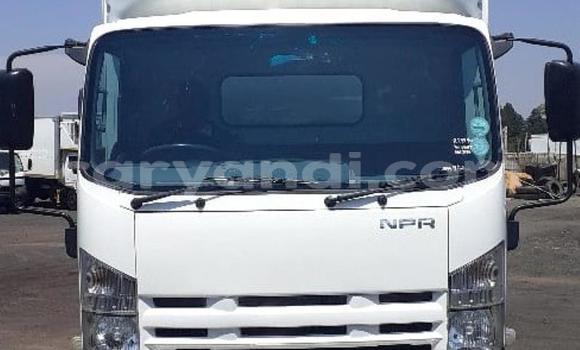 Buy Used Isuzu FTR 850 White Truck in Chinsali in Northern Buy Used Isuzu FTR 850 White Truck in Chinsali in Northern