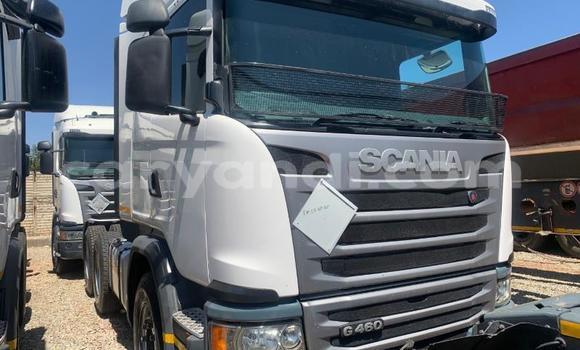 Buy Used Scania R420 White Truck in Isoka in Northern