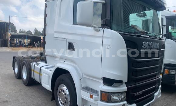 Buy Used Scania Irizar White Truck in Lusaka in Zambia Buy Used Scania Irizar White Truck in Lusaka in Zambia