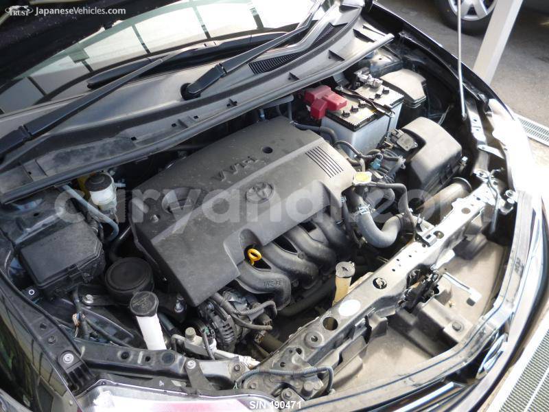 Big with watermark 24