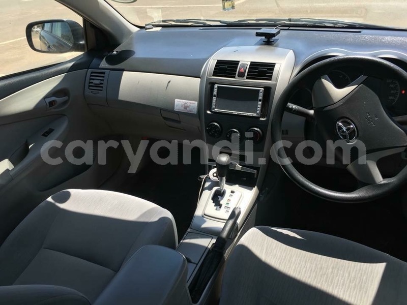 Big with watermark da498041 b969 45a2 91f4 19e5e31d984e