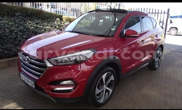 Buy Used Hyundai Tucson Red Car in Chipata in Zambia Buy Used Hyundai Tucson Red Car in Chipata in Zambia