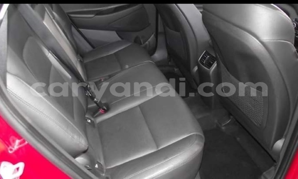 Buy Used Hyundai Tucson Red Car in Chipata in Zambia Buy Used Hyundai Tucson Red Car in Chipata in Zambia