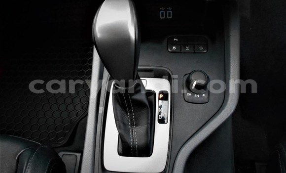 Tenga Tsaru Ford Ranger Chena Mota in Lusaka in Zambia Tenga Tsaru Ford Ranger Chena Mota in Lusaka in Zambia