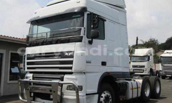 Buy Used DAF CF White Truck in Mufulira in Zambia