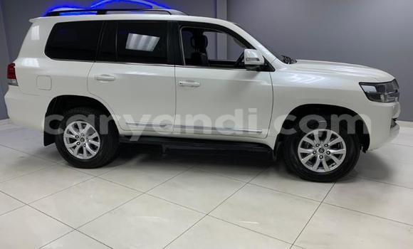 Acheter Occasion Voiture Toyota Land Cruiser Blanc à Chingola, Zambie