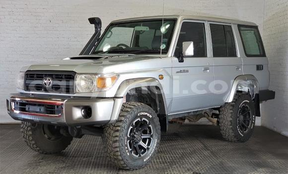 Acheter Occasion Voiture Toyota Land Cruiser Gris à Chipata, Zambie